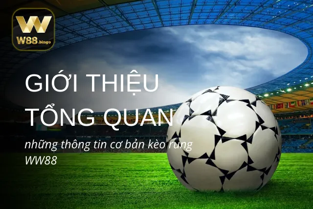 Giới thiệu tổng quan những thông tin cơ bản kèo rung tại WW88