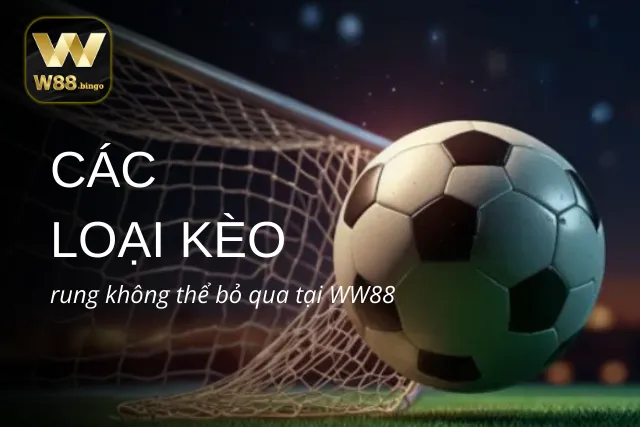 Các loại kèo rung không thể bỏ qua tại WW88