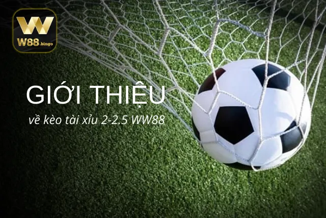 Tổng quan những thông tin thú vị về kèo tài xỉu 2-2.5 tại WW88