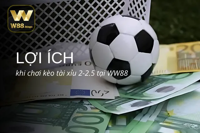Lợi ích khi chơi kèo tài xỉu 2-2.5 tại WW88
