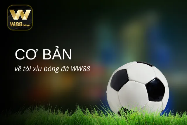 Giới thiệu hình thức tài xỉu khi cá độ bóng đá tại WW88