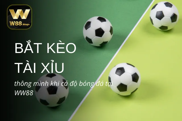 Bí quyết bắt kèo tài xỉu thắng lớn tại WW88