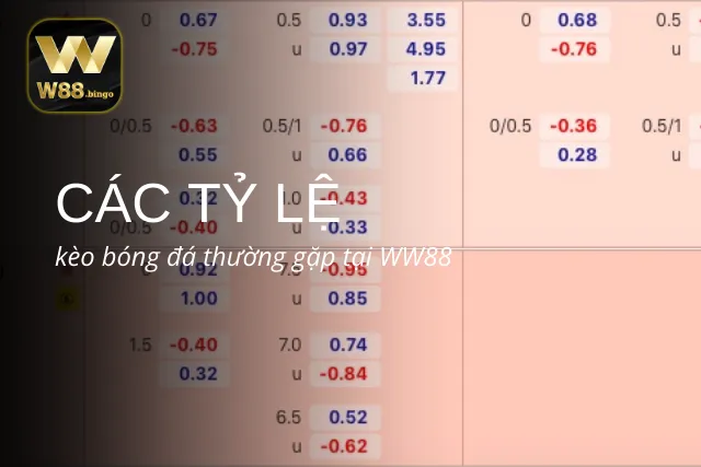 3 Tỷ lệ kèo phổ biến khi cá độ bóng đá tại WW88